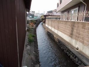 千代田1丁目の馬場川の写真