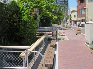 馬場川遊歩道の写真