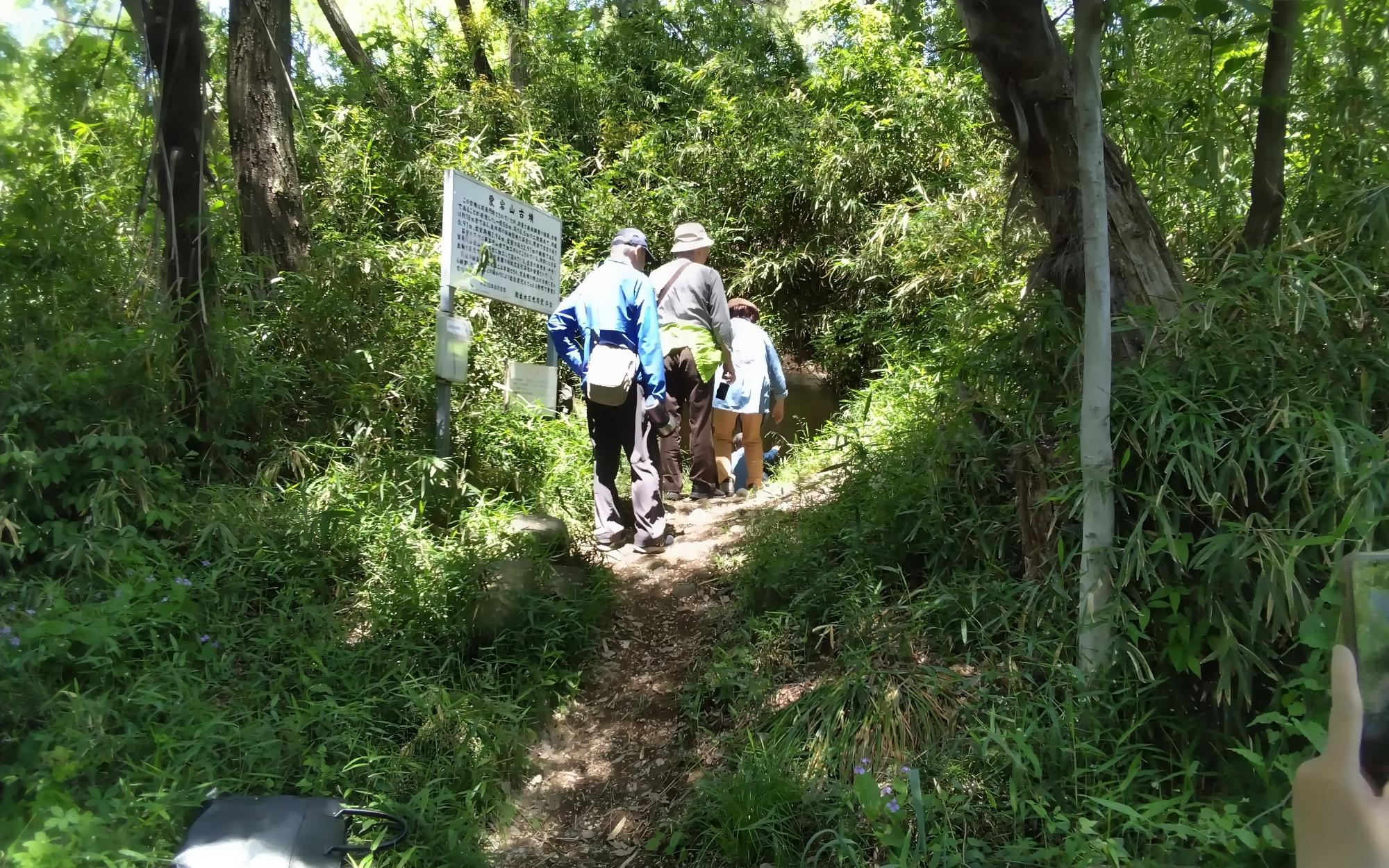 愛宕山古墳石室に入る参加者