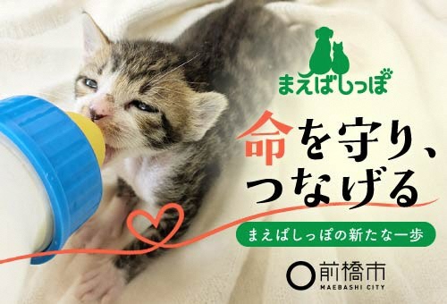 動物愛護センターまえばしっぽ