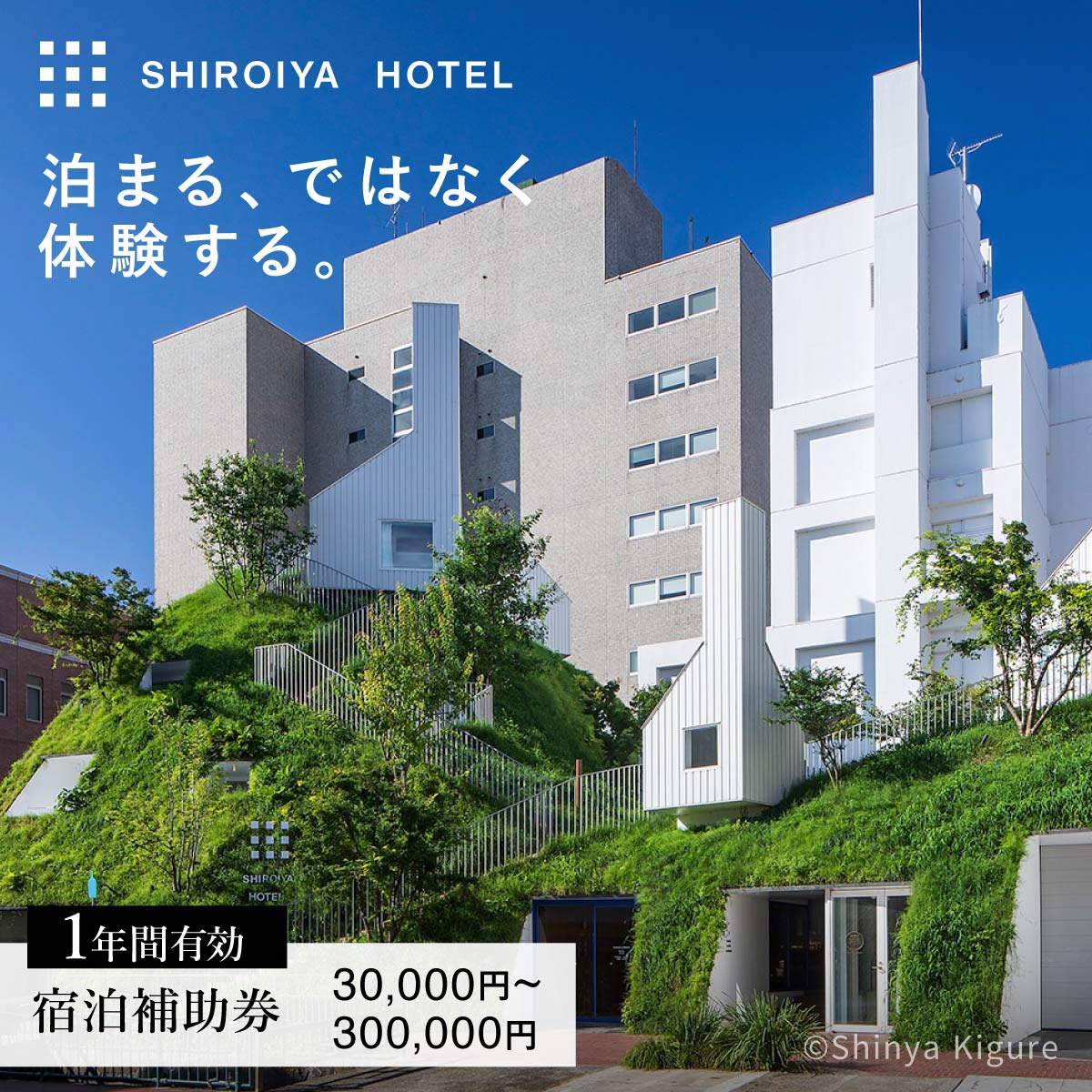 白井屋ホテルの画像