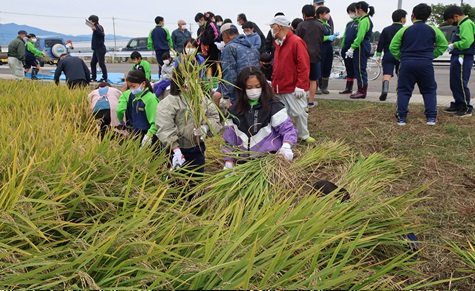 karitori