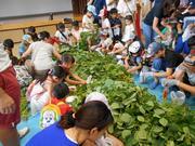 収穫祭で枝豆をもぐ様子