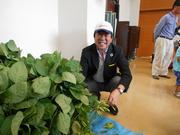 収穫祭で市長も一緒にもぎとりました