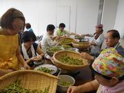 茹でて豆をだします
