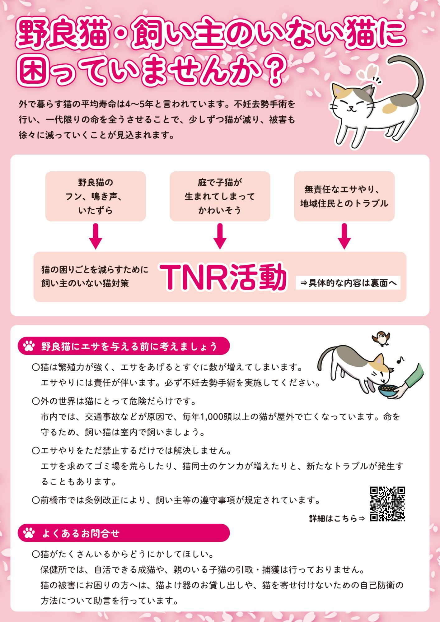 飼い主のいない猫対策 TNR活動のご案内／前橋市
