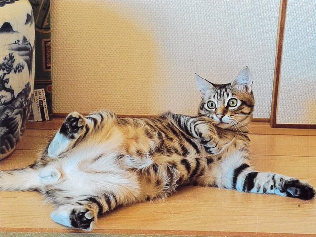 つむぎ