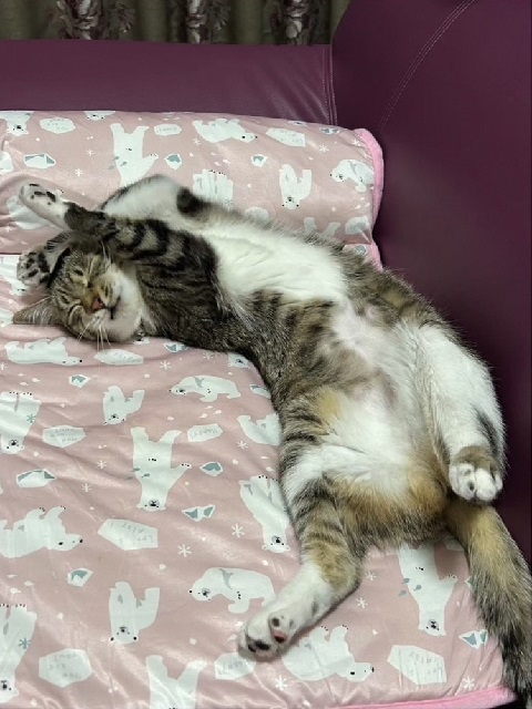 まる
