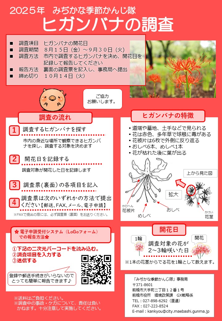 ヒガンバナ調査概要