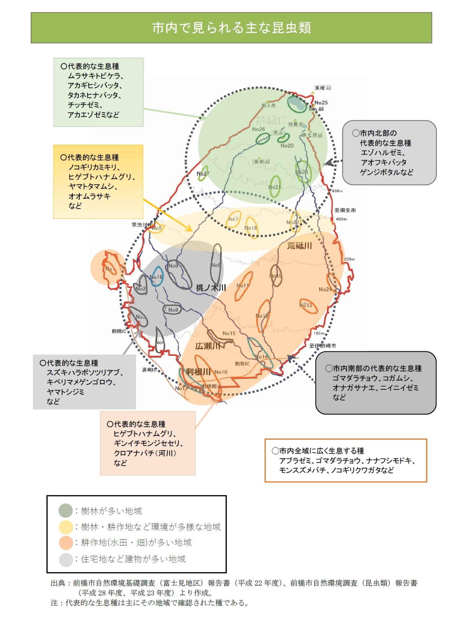 市内で見られる昆虫類の概要