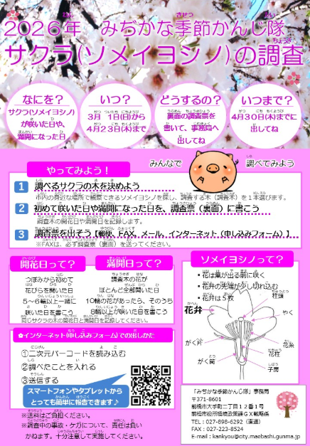 サクラのやりかた