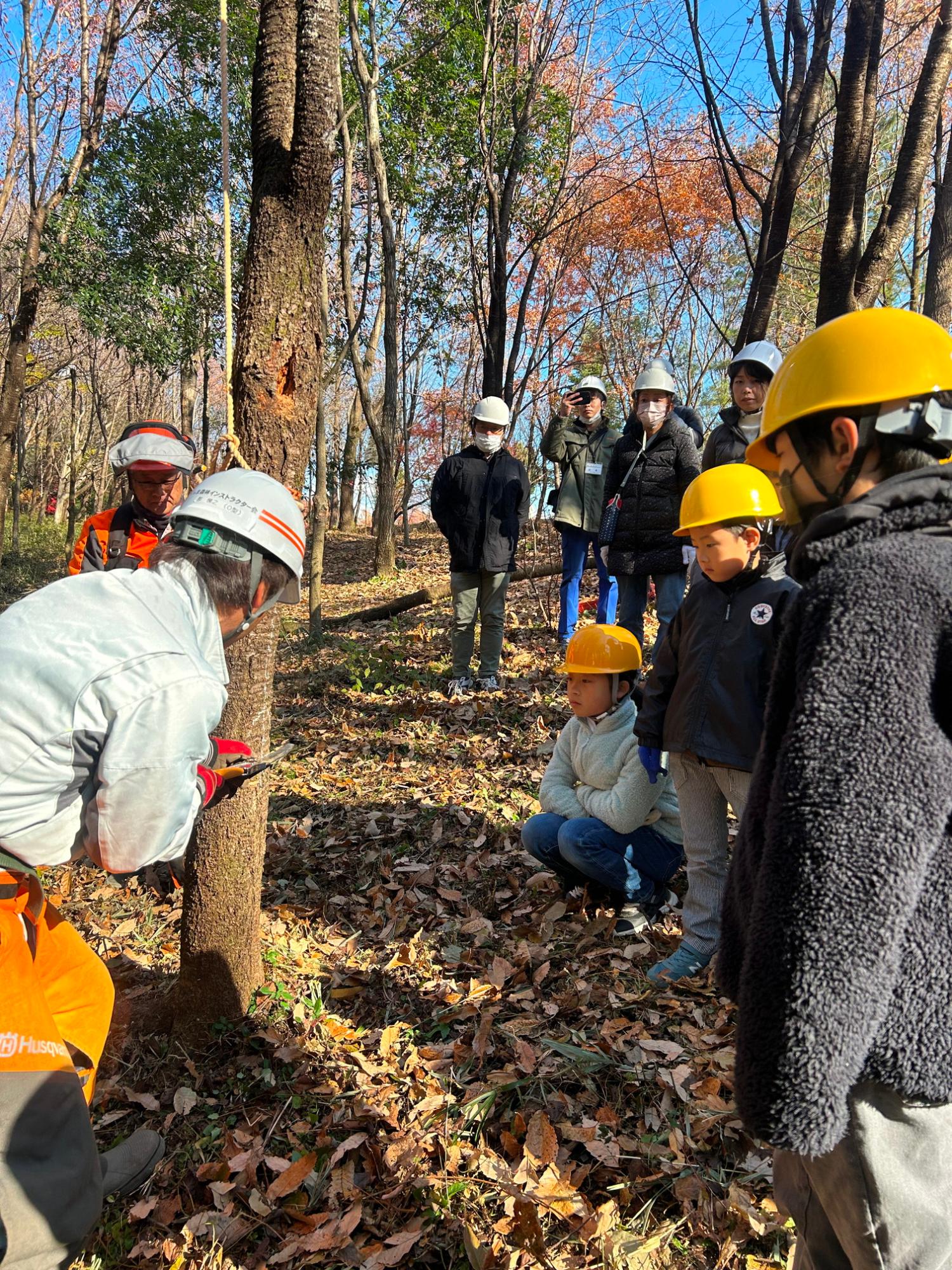 (イメージ)【令和7年12月14日開催】未来につなげる〜森づくり体験〜