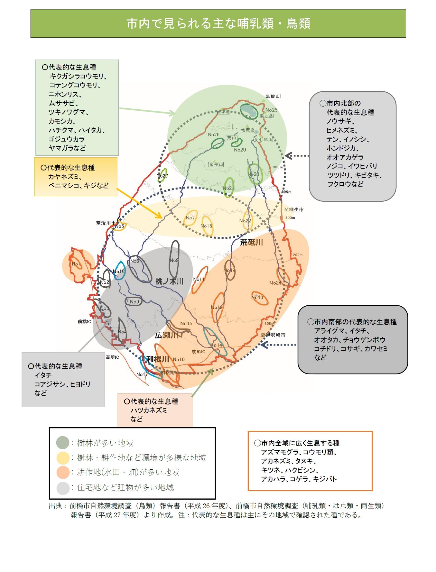市内で見られる哺乳類・鳥類の概要