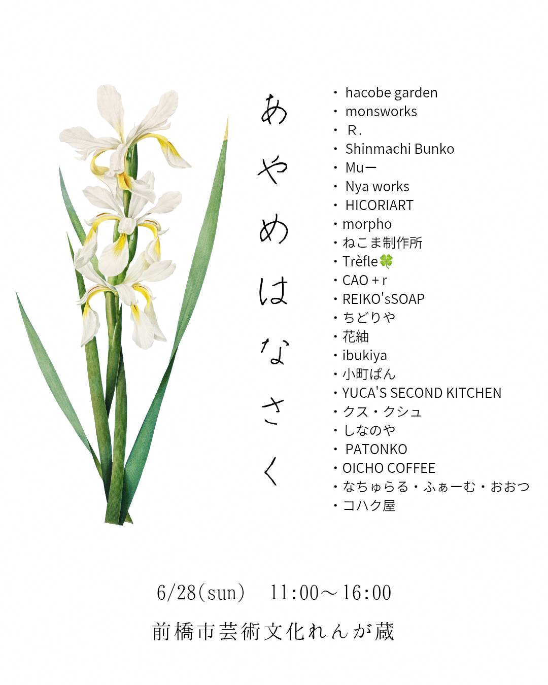 チラシ(あやめはなさく)