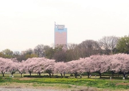 南町公園