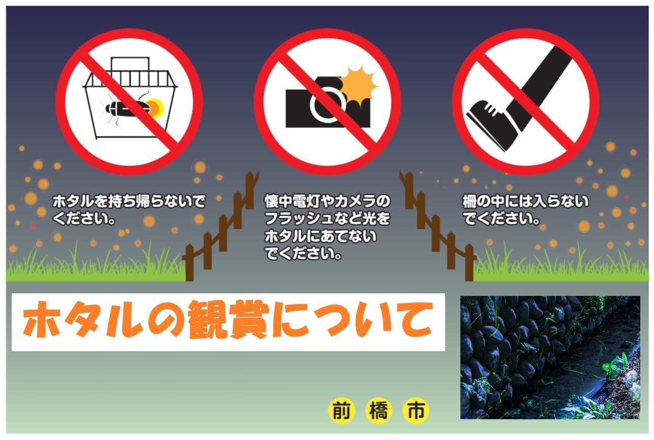 ホタル注意