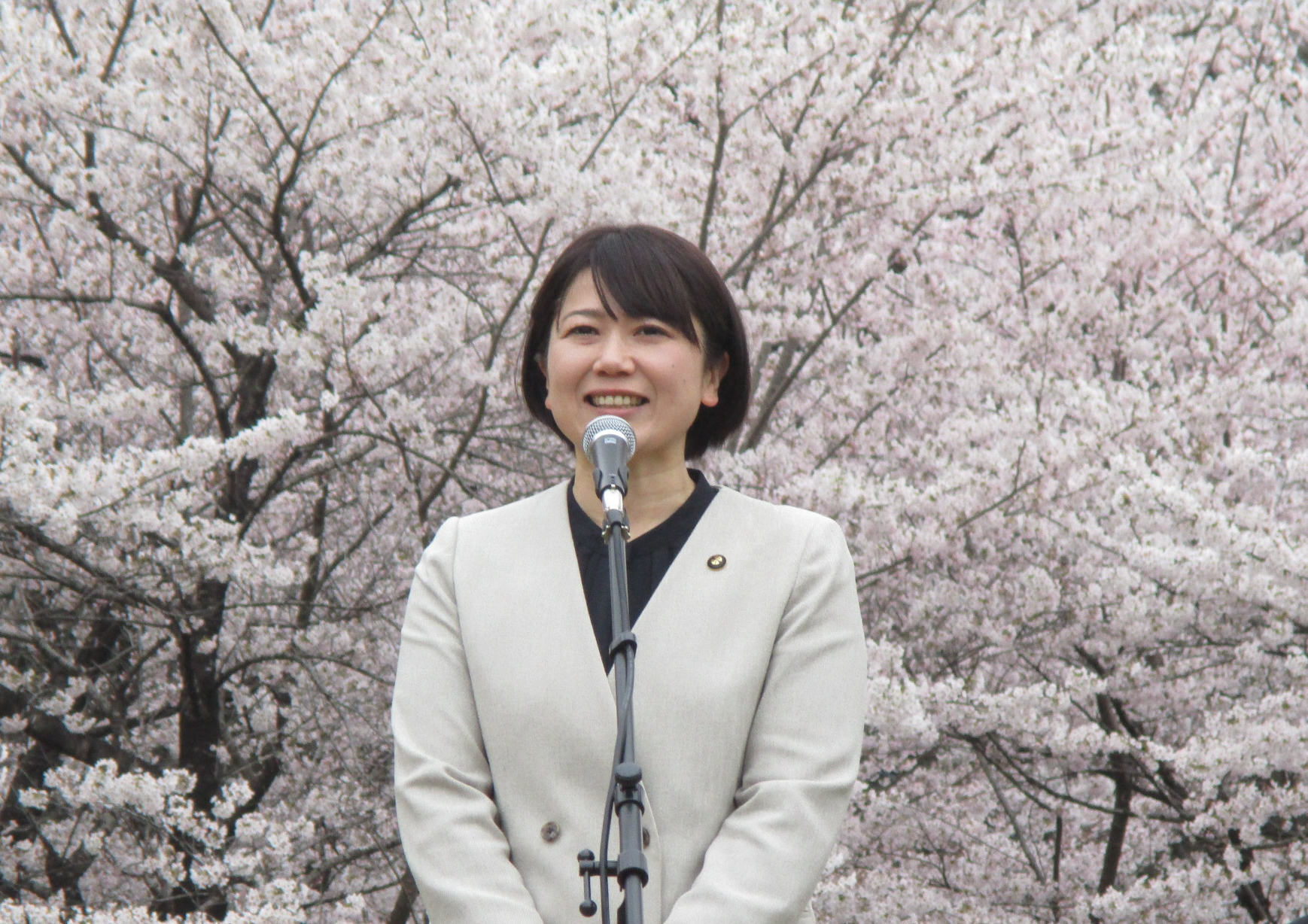 桜の前であいさつをする小川市長