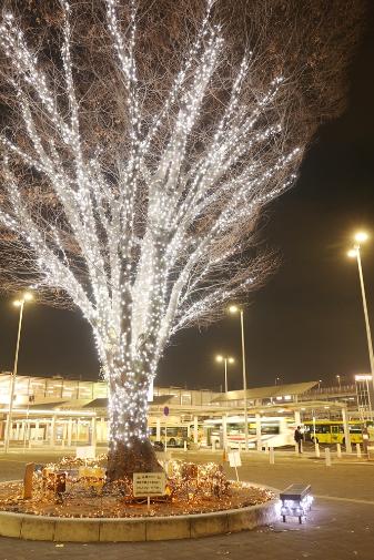 イルミネーション中の駅前の写真