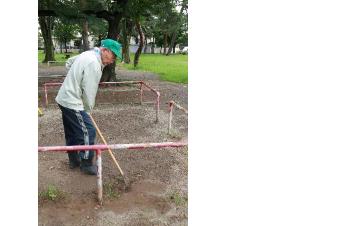 関根公園で除草作業をする生方会長