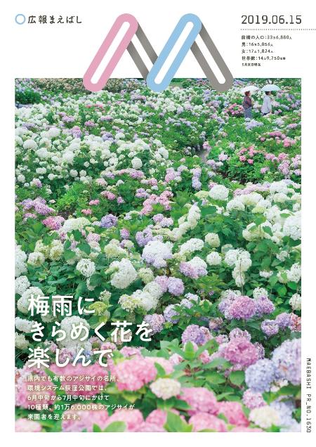 紙面イメージ（電子広報2019年6月15日号（NO.1630））