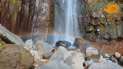 不動大滝虹の写真