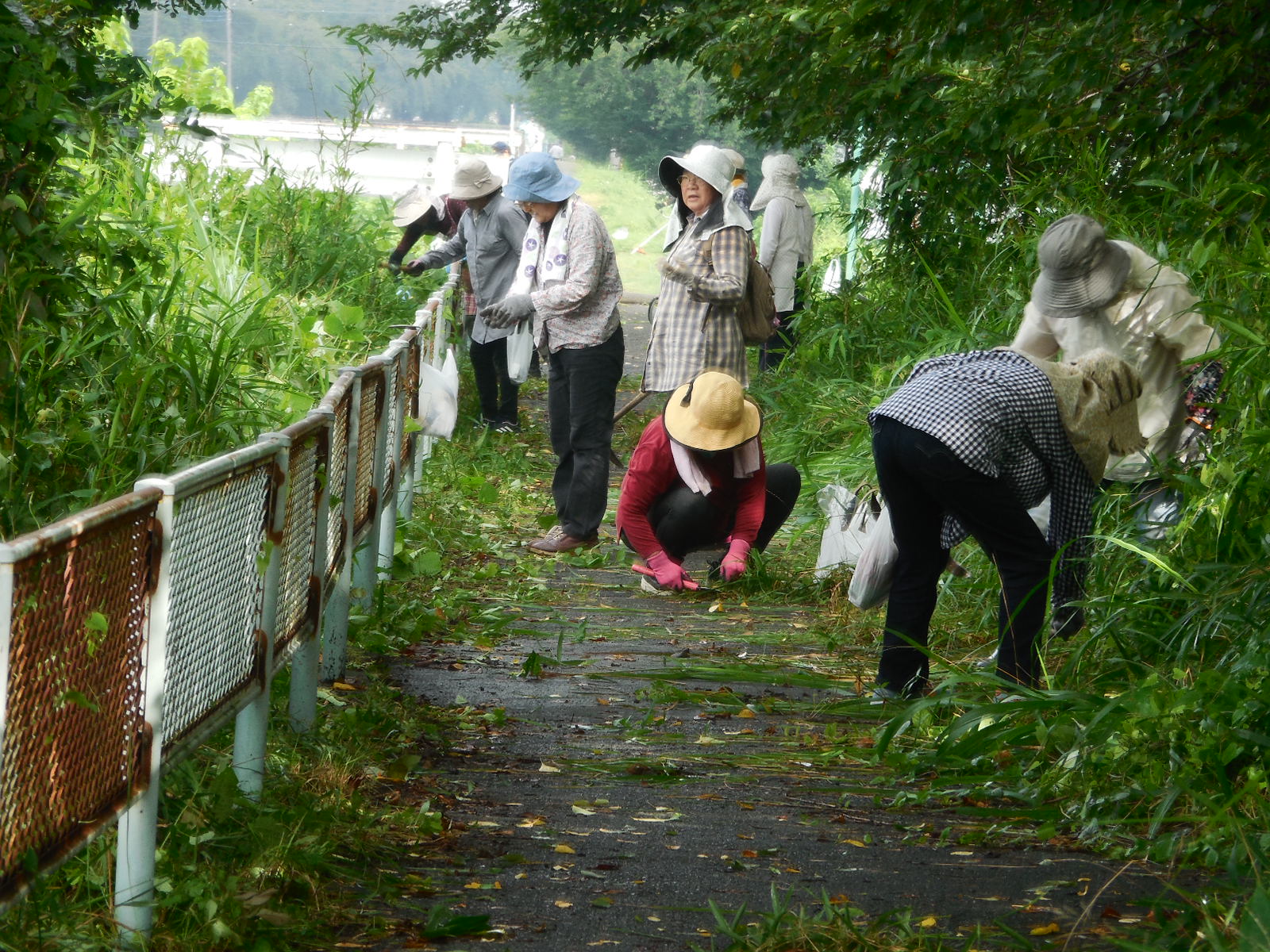 丁寧に作業しています