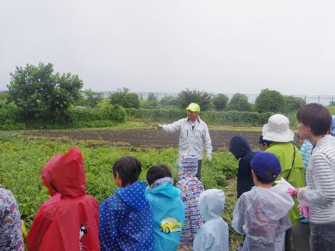 畑で講師にジャガイモの掘り方を教わる参加者たち