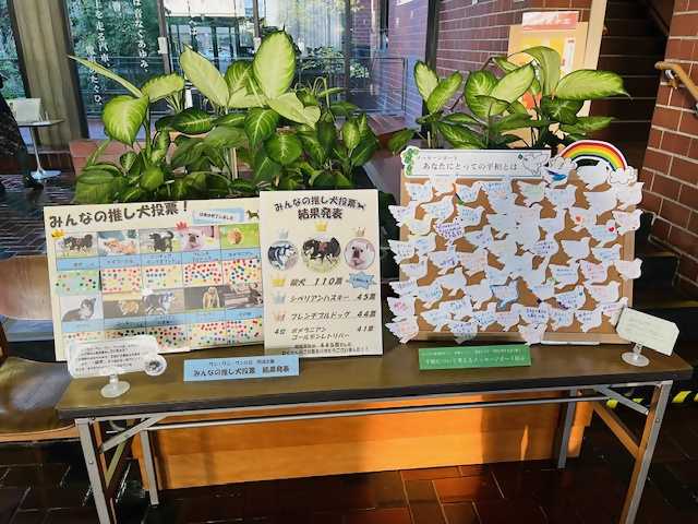 コーナー写真（犬の日結果と平和メッセージボード）