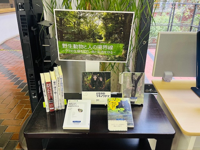 コーナー写真（野生動物特集）