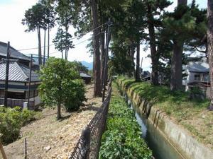 臨江閣の写真