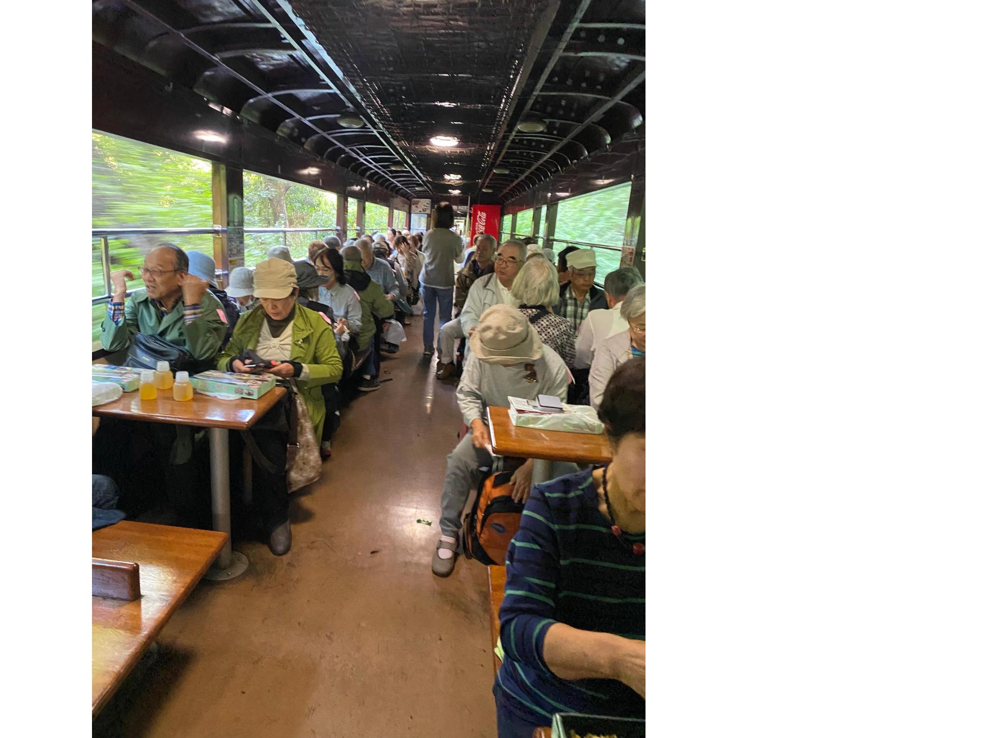 トロッコ列車の風景