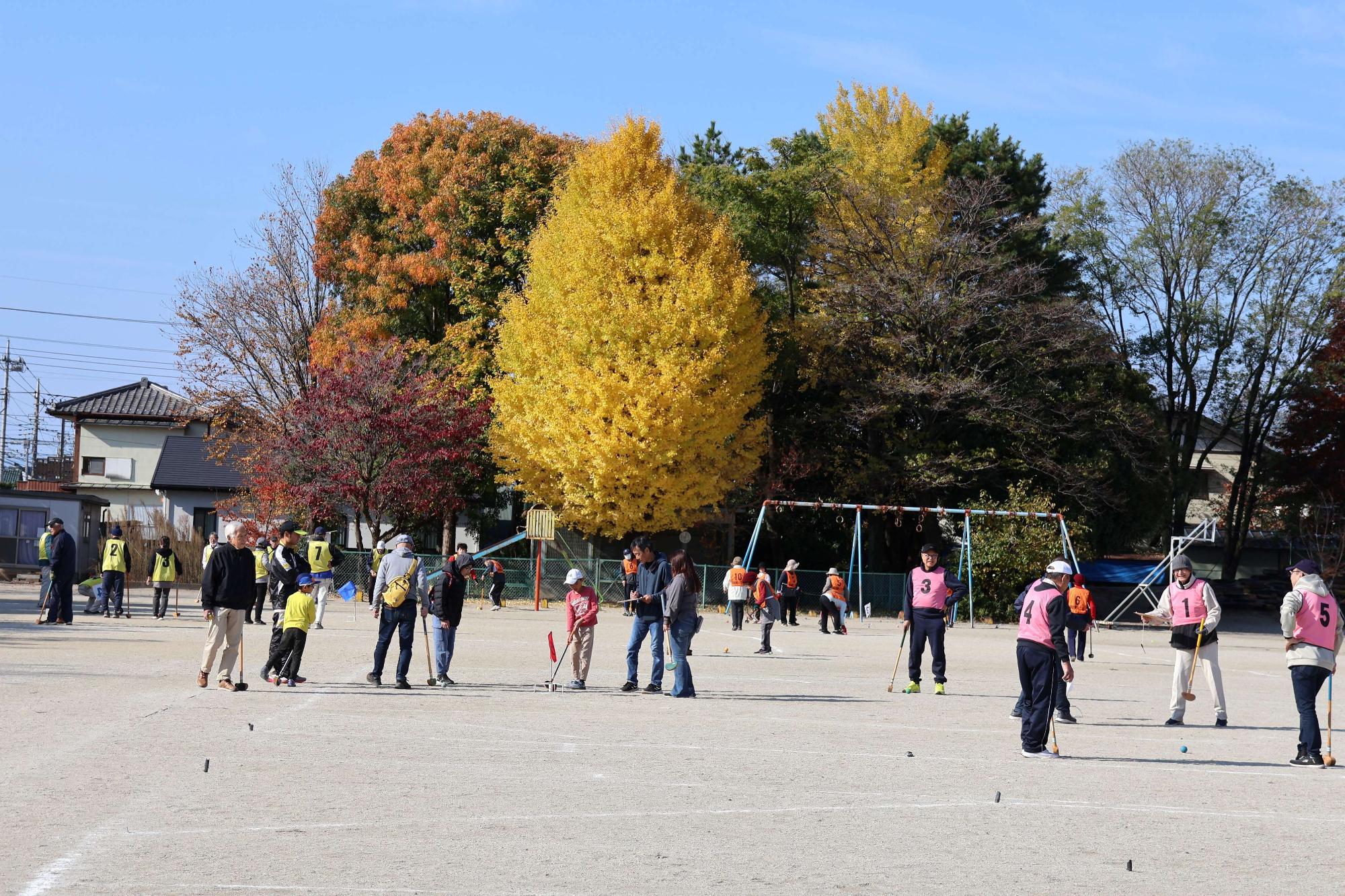 グラウンドゴルフ大会の様子