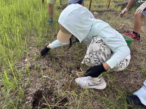 ひろせクリエイターファーム1