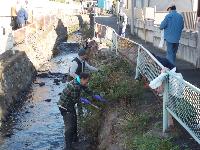 佐久間川の清掃作業