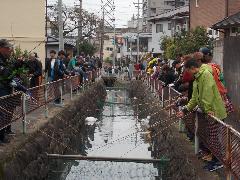 川の両岸から一斉にマス釣り開始