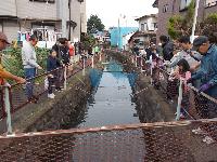 マス釣り