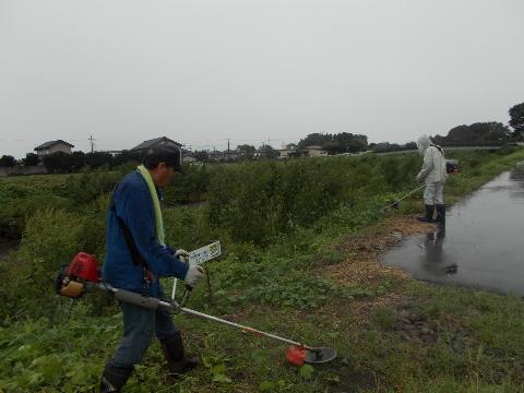 作業を行う部会員