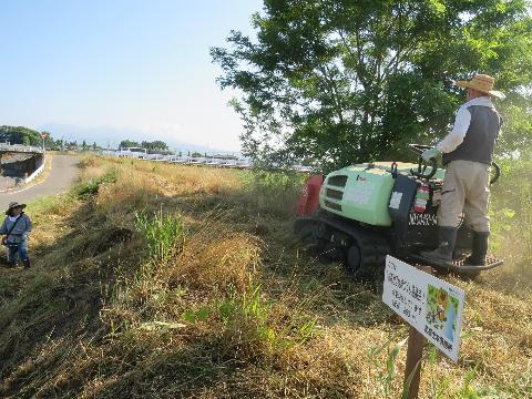 終点付近の草刈り作業