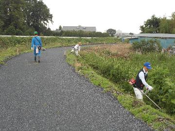 6月22日草刈り