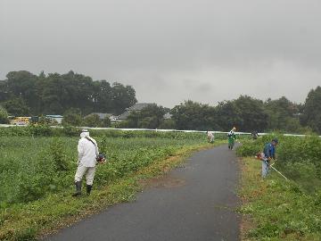 8月31日草刈り