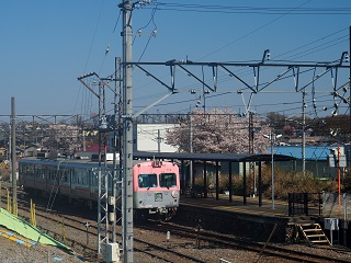 大胡駅と桜の写真