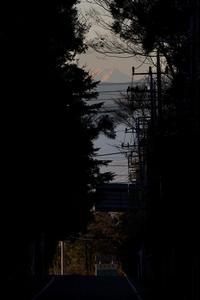 赤城神社から見える富士山 平成25年11月30日撮影の写真