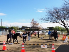 ポニー乗馬体験の写真