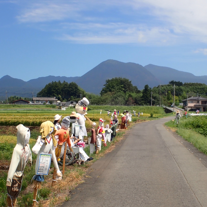 赤城大沼用水かかしまつりの田園風景の写真
