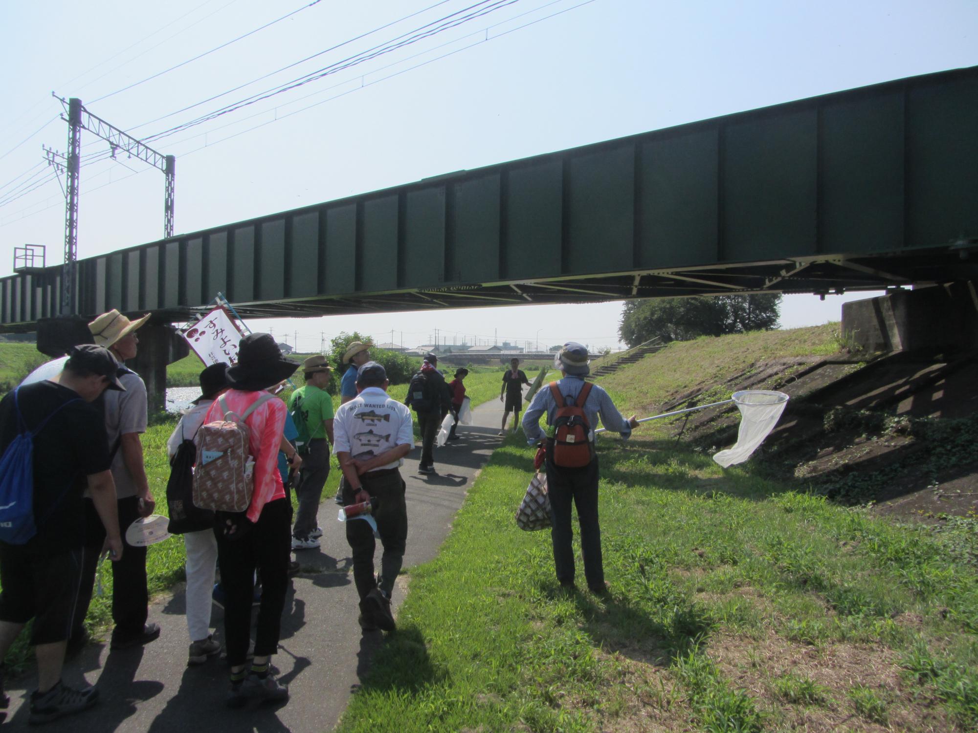 桃の木川サイクリングロードで自然観察の様子