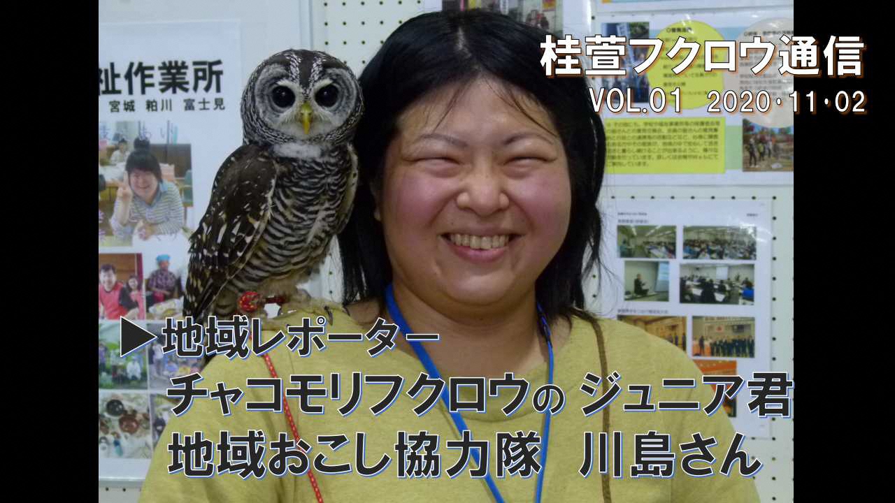 フクロウ通信1サムネイル