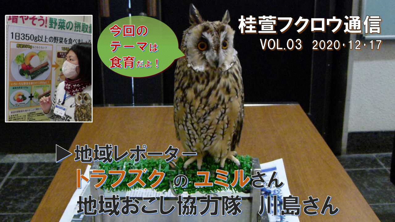 フクロウ通信3サムネイル