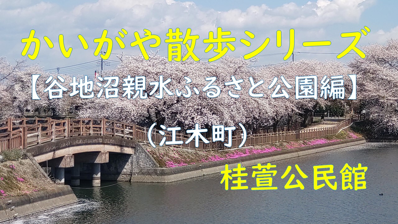 かいがや散歩谷地沼