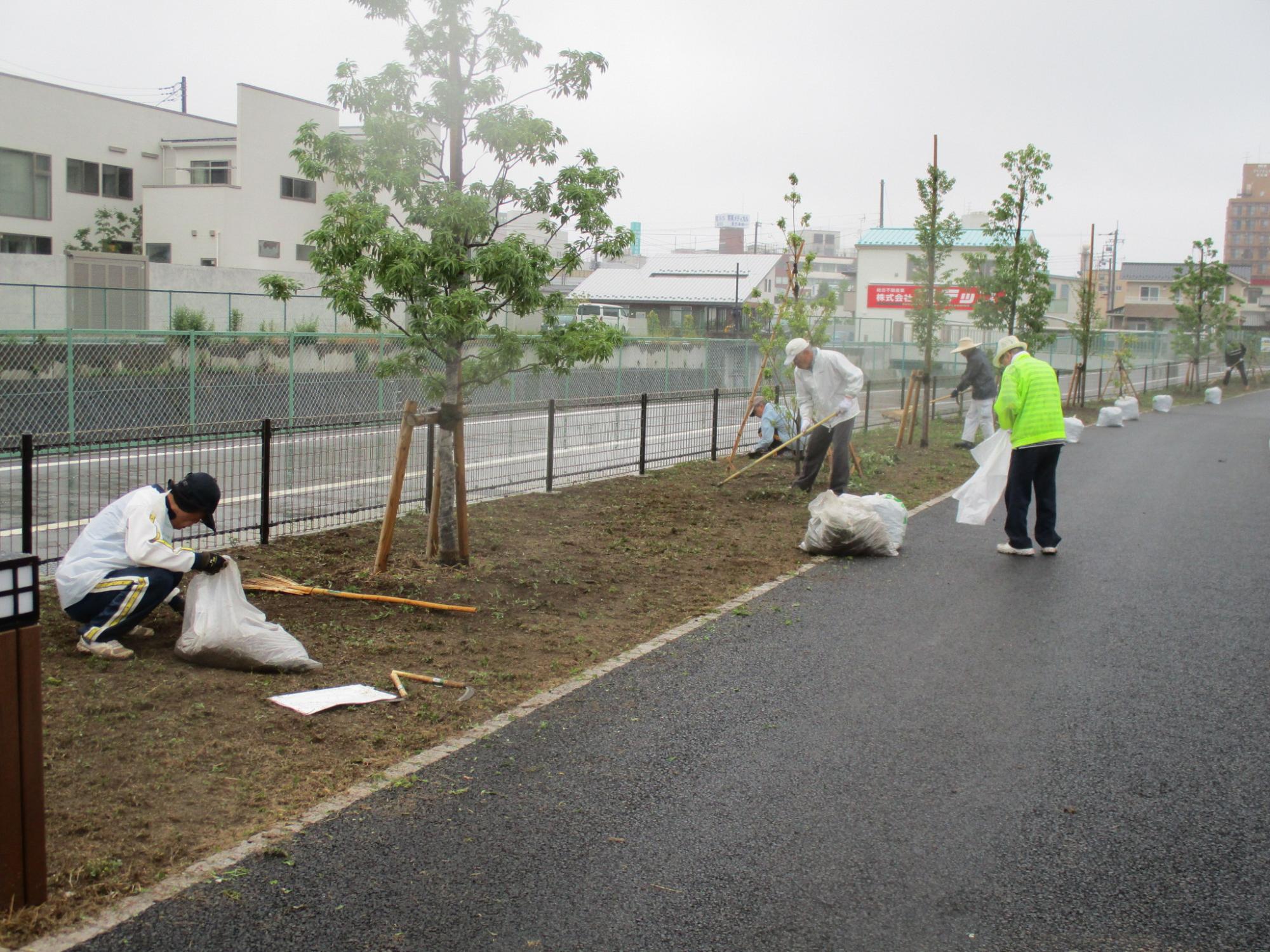 東ふれあい公園愛護会清掃活動2