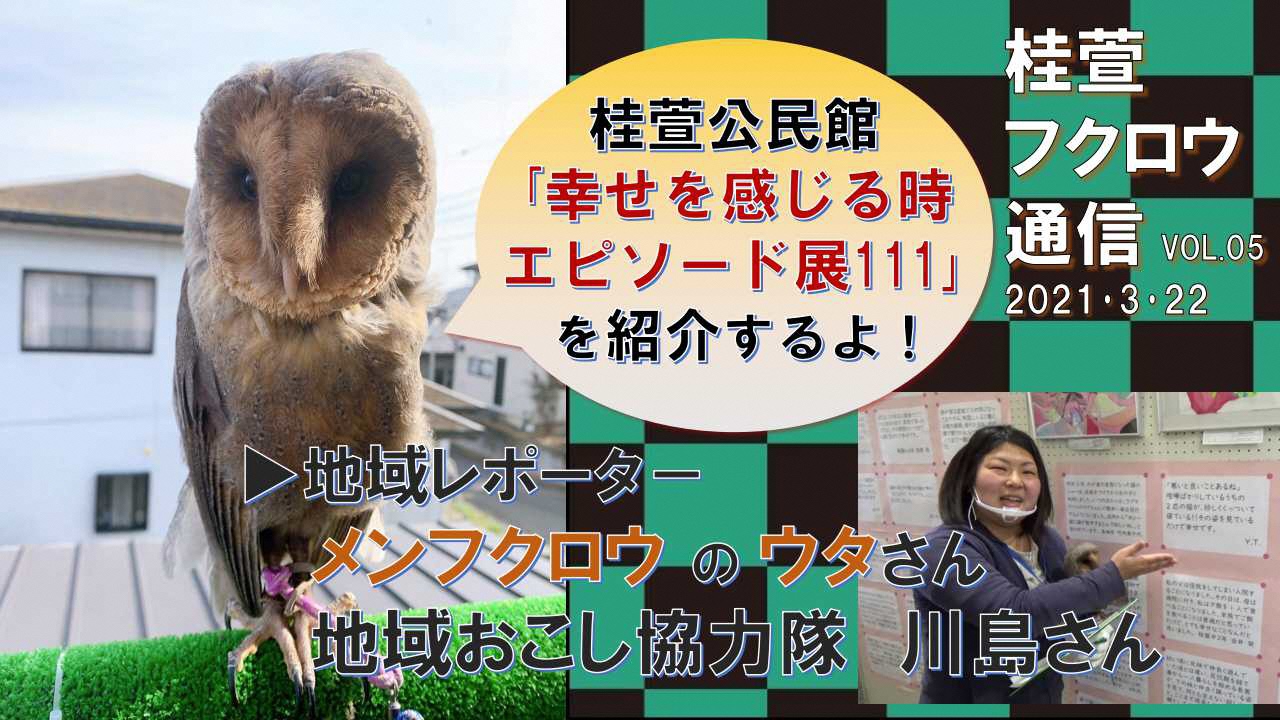 フクロウ通信5サムネイル